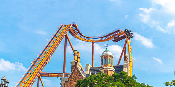 행사/선물용 티켓