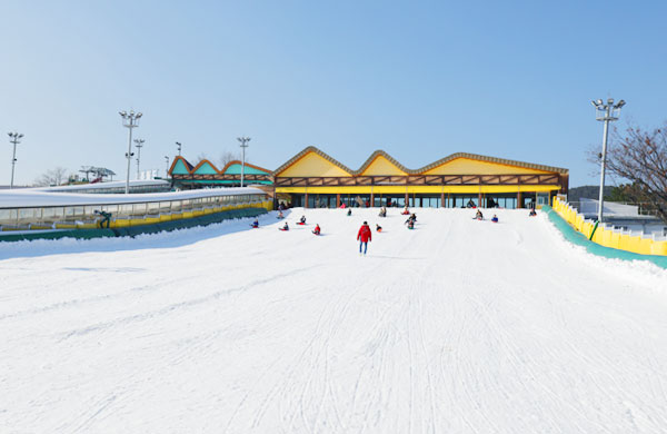 드림 라인! 알프헤임(어린이 썰매장)